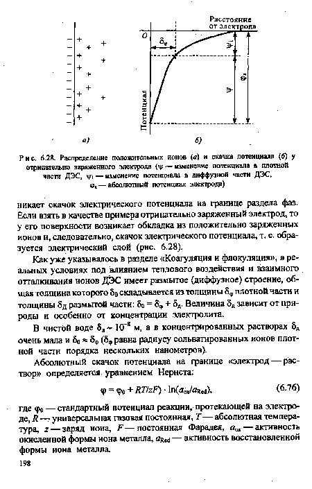 Распределение положительных ионов (л) и скачка потенциала (б) у отрицательно заряженного электрода (ц<— изменение потенциала в плотной части ДЭС,  |/| — изменение потенциала в диффузной части ДЭС,