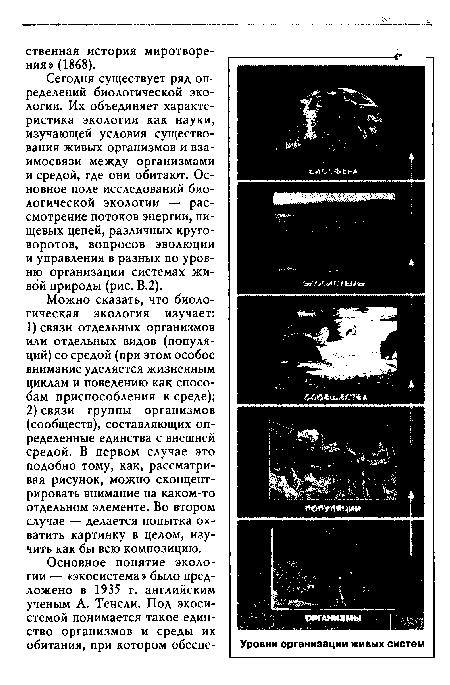 Сегодня существует ряд определений биологической экологии. Их объединяет характеристика экологии как науки, изучающей условия существования живых организмов и взаимосвязи между организмами и средой, где они обитают. Основное поле исследований биологической экологии — рассмотрение потоков энергии, пищевых цепей, различных круговоротов, вопросов эволюции и управления в разных по уровню организации системах живой природы (рис. В.2).