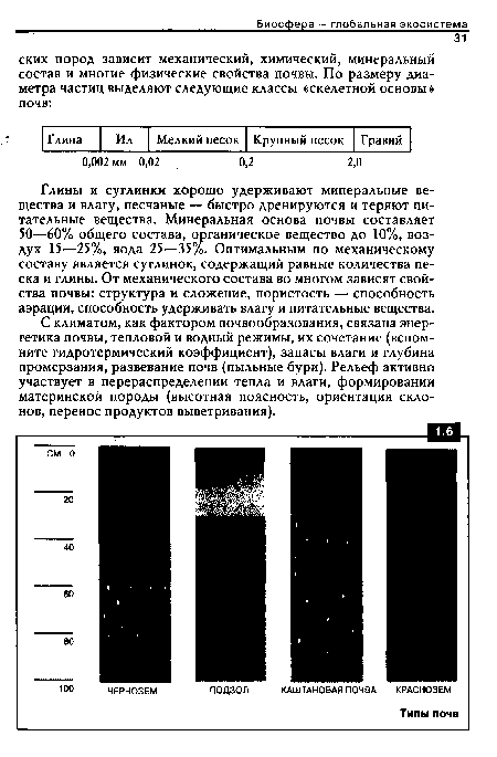 Глины и суглинки хорошо удерживают минеральные вещества и влагу, песчаные — быстро дренируются и теряют питательные вещества. Минеральная основа почвы составляет 50—60% общего состава, органическое вещество до 10%, воздух 15—25%, вода 25—35%. Оптимальным по механическому составу является суглинок, содержащий равные количества песка и глины. От механического состава во многом зависят свойства почвы: структура и сложение, пористость — способность аэрации, способность удерживать влагу и питательные вещества.