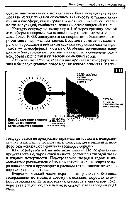 Как образуется магнитное поле Земли? По современным представлениям, ядро нашей планеты состоит из твердой части и жидкой поверхности. Подогреваемое твердым ядром и охлаждаемое расположенной выше мантией, жидкое вещество ядра вовлекается в круговорот и распадается на многие отдельно циркулирующие потоки.