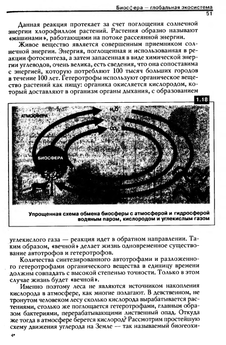 Количества синтезированного автотрофами и разложенного гетеротрофами органического вещества в единицу времени должны совпадать с высокой степенью точности. Только в этом случае жизнь будет «вечной».