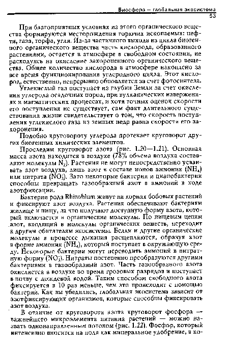 При благоприятных условиях из этого органического вещества формируются месторождения горючих ископаемых: нефти, газа, торфа, угля. Из-за частичного выхода из цикла биогенного органического вещества часть кислорода, образованного растениями, остается в атмосфере в свободном состоянии, не расходуясь на окисление захороненного органического вещества. Общее количество кислорода в атмосфере накоплено за все время функционирования углеродного цикла. Этот кислород, естественно, непрерывно обновляется за счет фотосинтеза.