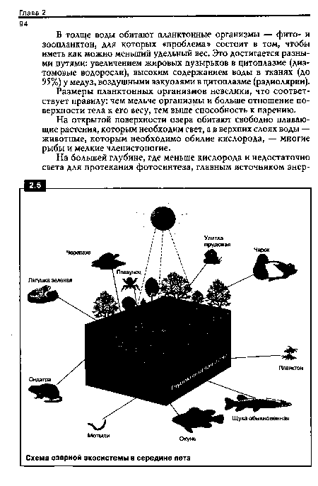 В толще воды обитают планктонные организмы — фито- и зоопланктон, для которых «проблема» состоит в том, чтобы иметь как можно меньший удельный вес. Это достигается разными путями: увеличением жировых пузырьков в цитоплазме (диатомовые водоросли), высоким содержанием воды в тканях (до 95%) у медуз, воздушными вакуолями в цитоплазме (радиолярии).