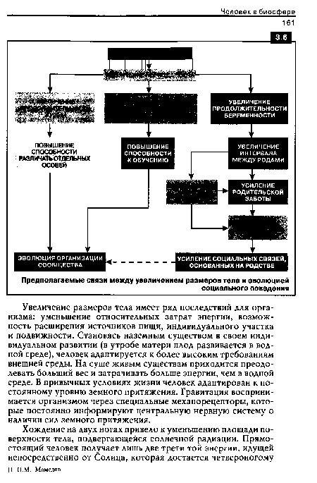 Увеличение размеров тела имеет ряд последствий для организма: уменьшение относительных затрат энергии, возможность расширения источников пищи, индивидуального участка и подвижности. Становясь наземным существом в своем индивидуальном развитии (в утробе матери плод развивается в водной среде), человек адаптируется к более высоким требованиям внешней среды. На суше живым существам приходится преодолевать больший вес и затрачивать больше энергии, чем в водной среде. В привычных условиях жизни человек адаптирован к постоянному уровню земного притяжения. Гравитация воспринимается организмом через специальные механорецепторы, которые постоянно информируют центральную нервную систему о наличии сил земного притяжения.