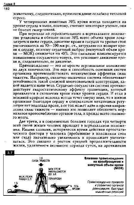 Прямохождение — это не просто вертикальное положение на двух конечностях. Это еще и способность основных систем организма противодействовать механическим эффектам силы тяжести. Например, скелетно-мышечная система обеспечивает устойчивость такой сложной многозвеньевой конструкции, какой является наше тело. Сердечно-сосудистая система противодействует гидростатическому эффекту гравитации, который проявляется в скоплении крови ниже уровня сердца. И если в неживой природе водопад всегда течет сверху вниз, то в живом организме благодаря сердцу и специальным механизмам регуляции нет водопада крови, а ее ток может идти и против направления силы тяжести — именно это позволяет обеспечить нормальное кровоснабжение органов тела, и прежде всего головного мозга.