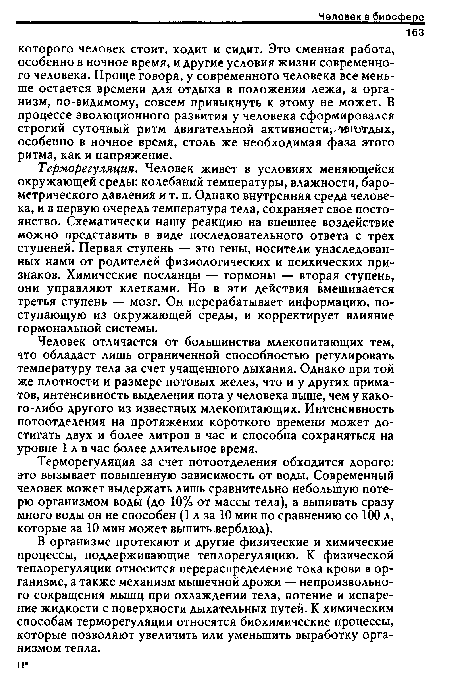 Терморегуляция за счет потоотделения обходится дорого: это вызывает повышенную зависимость от воды. Современный человек может выдержать лишь сравнительно небольшую потерю организмом воды (до 10% от массы тела), а выпивать сразу много воды он не способен (1 л за 10 мин по сравнению со 100 л, которые за 10 мин может выпить верблюд).