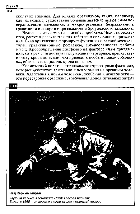 Человек в невесомости — особая проблема. Человек рождается, растет и развивается под действием сил земного притяжения. Сила притяжения формирует функции скелетной мускулатуры, гравитационные рефлексы, согласованность работы мышц. Кровообращение построено на факторе силы притяжения, которая способствует току крови по артериям, препятствует току крови по венам, что привело к особым приспособлениям, обеспечивающим ток крови по венам.