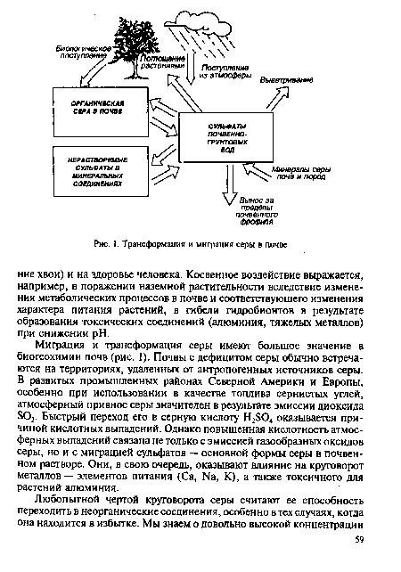 Трансформация и миграция серы в почве