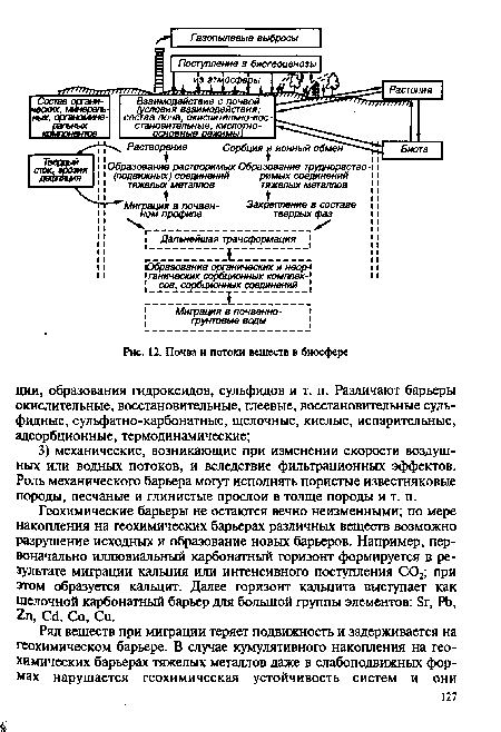 Почва и потоки веществ в биосфере