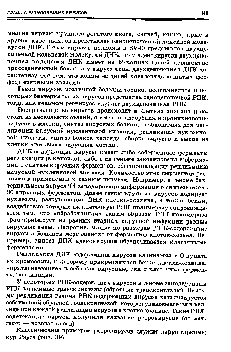 Воспроизводство вирусов происходит в клетках хозяина и состоит из нескольких стадий, а именно: адсорбция и проникновение вирусов в клетки, синтез вирусных белков, необходимых для репликации вирусной нуклеиновой кислоты, репликация нуклеиновой кислоты, синтез белков капсида, сборка вирусов и выход из клетки «готовых» вирусных частиц.