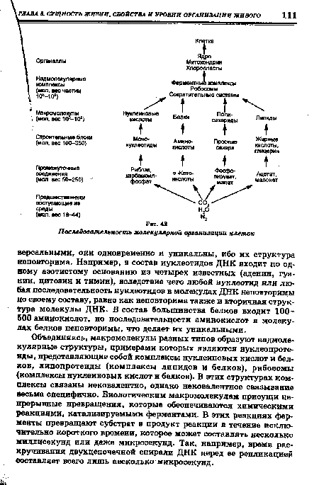 Объединяясь, макромолекулы разных типов образуют надмолекулярные структуры, примерами которых являются нуклеопроте-иды, представляющие собой комплексы нуклеиновых кислот и белков, липопротеиды (комплексы липидов и белков), рибосомы (комплексы нуклеиновых кислот и белков). В этих структурах комплексы связаны нековалентно, однако нековалентное связывание весьма специфично. Биологическим макромолекулам присущи непрерывные превращения, которые обеспечиваются химическими реакциями, катализируемыми ферментами. В этих реакциях ферменты превращают субстрат в продукт реакции в течение исключительно короткого времени, которое может составлять несколько Миллисекунд или даже микросекунд. Так, например, время раскручивания двухцепочечной спирали ДНК перед ее репликацией составляет всего лишь несколько микросекунд.