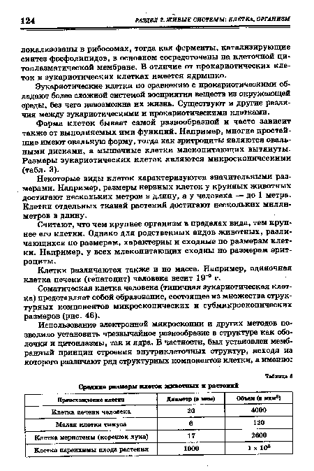 Некоторые виды клеток характеризуются значительными размерами. Например, размеры нервных клеток у крупных животных достигают нескольких метров в длину, а у человека — до 1 метра. Клетки отдельных тканей растений достигают нескольких миллиметров в длину.