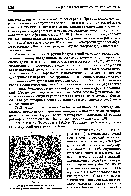 У клеток растений наружной структурой служит жесткая клеточная стенка, построенная из молекул целлюлозы, создающих очень прочные волокна, погруженные в матрикс из других полисахаридов и полимерного вещества лигнина. Клетки наружних слоев растений иногда покрыты очень тонким слоем восковидного вещества. На поверхности плазматических мембран имеются электрически заряженные группы, из-за которых поддерживается разность электрических потенциалов на мембранах. На поверхности плазматических мембран имеются также специфические рецепторы (участки распознания) для гормонов и других соединений. Кроме того, здесь же локализованы особые рецепторы, ответственные за индивидуальную тканевую совместимость. Считают, что рецепторные участки формируются гликопротеидами и ганглиозидами.