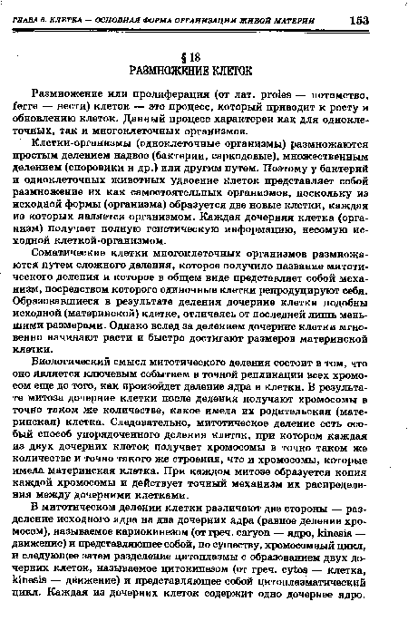 В митотическом делении клетки различают две стороны — разделение исходного ядра на два дочерних ядра (равное деление хромосом), называемое кариокинезом (от греч. сагуоп — ядро, kinesis — движение) и представляющее собой, по существу, хромосомный цикл, и следующее затем разделение цитоплазмы с образованием двух дочерних клеток, называемое цитокинезом (от греч. cytos — клетка, kinesis — движение) и представляющее собой цитоплазматический цикл. Каждая из дочерних клеток содержит одно дочернее ядро.