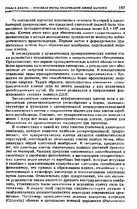 В последующем у примитивных прокариотических клеток стали развиваться механизмы синтеза и энергетического обеспечения. Предполагают, что первые прокариотические клетки обладали наиболее простыми каталитическими системами, в результате чего обеспечение их энергией основывалось на брожении. В последующем отдельные виды прокариотических клеток переключились с брожения на дыхание, что способствовало более эффективному получению энергии. Таким образом, эволюционные изменения прокариотических клеток шли по линии развития у них различных метаболических путей. Их геном развивался в направлении формирования «голых» молекул ДНК.