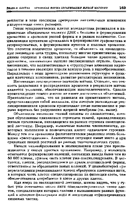 Объяснения эволюции тканей связаны со сложностями, которые обусловлены одинаковым строением тканей, принадлежащих живым организмам, находящимся на разных ступенях эволюционной лестницы. Например, мышечные волокна членистоногих, некоторых моллюсков и позвоночных имеют одинаковое строение. Между тем эти организмы филогенетически разделены очень большими «расстояниями». Аналогичная ситуация имеет место и при сравнении тканей растений из разных таксономических групп.