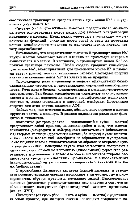 Система Na+ + К+—АТФ-аза помогает поддерживать ассимет-рическое распределение ионов калия при высокой концентрации последнего в клетках. Ионы калия участвуют в регуляции многих клеточных функций, включая поток солей и воды из почечных клеток, освобождение инсулина из панкреатических клеток, частоту сердцебиений.