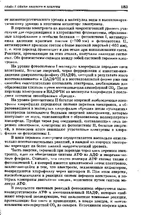 В переходе электронов на высокий энергетический уровень участвуют две содержащиеся в хлоропластах фотосистемы, образованные хлорофиллом и особыми белками — фотосистема I, активируемая далеким красным светом (-700 нм) и фотосистема II, активируемая Красным светом с более высокой энергией (-650 нм), т. е. этот переход происходит в два этапа при использовании света. Реакции, протекающие на этих этапах, получили название световых. Обе фотосистемы связаны между собой системой переноса электронов.