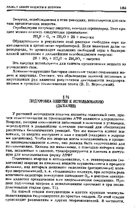 Подготовка энергии к использованию, т. е. генерирование (извлечение) энергии из пищевых веществ осуществляется в процессе дыхания, под которым понимают окисление (расщепление) молекул-энергоносителей, т. е. «топливных» молекул, при котором роль конечного акцептора электронов выполняет 02, а донором электронов является органическое или неорганическое соединение. Процесс подготовки энергии к использованию протекает в три последовательные стадии (рис. 71).