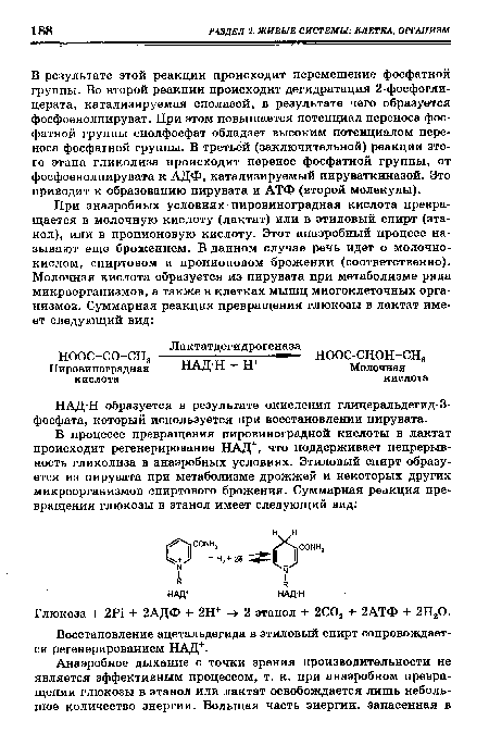 НАД-Н образуется в результате окисления глицеральдегид-3-фосфата, который используется при восстановлении пирувата.