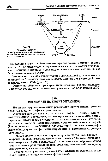 Первые используют световую энергию, тогда как вторые — энергию экзотермических химических реакций (в ходе превращения неорганических соединении), т. е. энергию, образующуюся при окислении различных неорганических соединений (водорода, сероводорода, аммиака и др.).