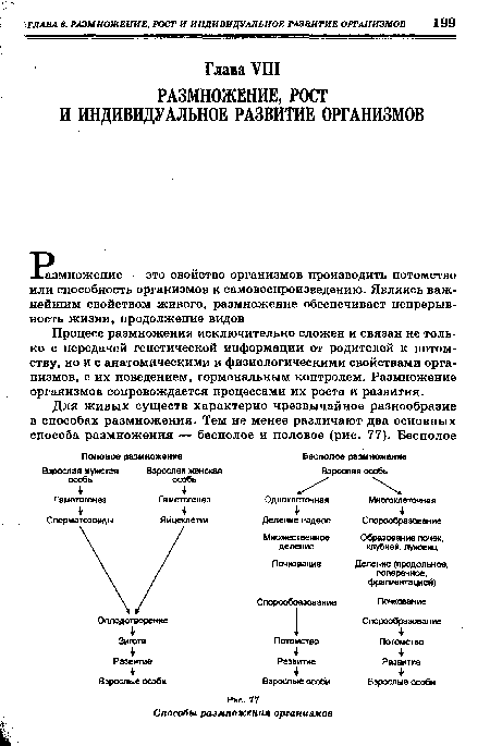 Процесс размножения исключительно сложен и связан не только с передачей генетической информации от родителей к потомству, но и с анатомическими и физиологическими свойствами организмов, с их поведением, гормональным контролем. Размножение организмов сопровождается процессами их роста и развития.