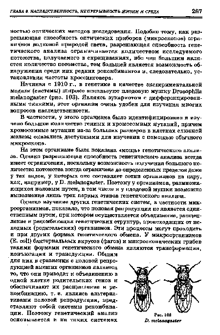 В частности, у этого организма было идентифицировано и изучено большое количество генных и хромосомных мутаций, причем хромосомные мутации из-за больших размеров в клетках слюнной железы оказались доступными для изучения с помощью обычного микроскопа.