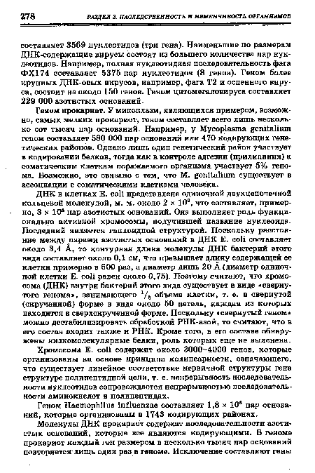 Хромосома E. coli содержит около 3000-4000 генов, которые организованы на основе принципа колинеарности, означающего, что существует линейное соответствие первичной структуры гена структуре полипептидной цепи, т. е. непрерывность последовательности нуклеотидов сопровождается непрерывностью последовательности аминокислот в полипептидах.