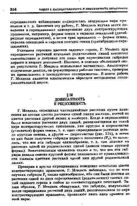 Г. Мендель скрещивал чистолинейные растения путем нанесения на пестик цветка растения одной линии пыльцы, взятой из цветка растения другой линии и наоборот. Когда в скрещивания были вовлечены растения двух линий, различающиеся по такой паре контрастирующих признаков, как круглая и шероховатая (угловатая) форма семян, т. е. одно скрещиваемое растение давало круглые семена, а другое — шероховатые (рис. 124), а затем от них были получены гибриды первого поколения (Гг), то оказалось, что все эти гибриды единообразны, т. к. они похожи на растения одной из родительских линий (давали семена круглой формы). Замечательным оказалось также и то, что все эти гибриды давали семена круглой формы независимо от принадлежности пыльцы цветкам растений одной или другой родительской линии.