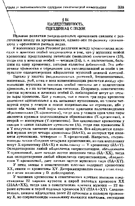 У насекомых рода РгЫепог различия между хромосомами мужских и женских особей заключаются в том, что у мужских особей хромосомы представлены нечетным (меньшим) количеством (13), тогда как у женских особей — четным (14), т. е. количеством, большим на одну хромосому, которая является добавочной. Эта добавочная хромосома и определяет пол унаследовавшей ее особи в результате оплодотворения яйцеклетки мужской половой клеткой.