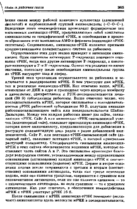 Осуществление этих двух этапов приводит к активации аминокислот. Одни синтетазы активируют 2 -гидроксил конечного основания тРНК, тогда как другие активируют З -гидроксил, а некоторые активируют и 2 -и 3 -гидроксилы. Однако эти различия не имеют значения, поскольку после освобождения аминоацильная группа на тРНК мигрирует взад и вперед.