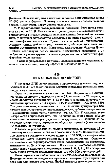 Кариотип человека показан на рис. 164. Нормальное диплоидное число хромосом у человека равно 23, из которых 22 пары хромосом являются аутосомами, а 23-я пара у мужчин представлена половыми хромосомами ХУ (рис. 154). У женщин — XX (рис. 155). Как уже отмечено, в зависимости от положения центромеры различают телоцентрические, акроцентрические, субметацентрические и метацентрические типы хромосом (см. гл. VI). У человека телоцентрических хромосом нет. Тем не менее на этой основе обычно хромосомы человека распределяют по группам, что зависит от положения центромеры, определяющей длину отрезков (плеч) по обеим сторонам центромеры.