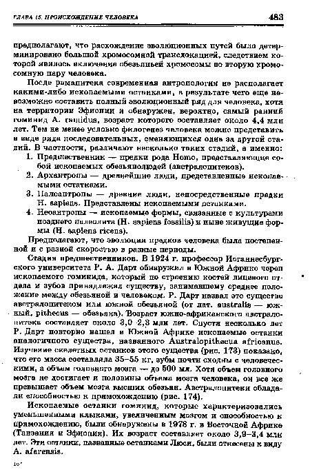 Ископаемые останки гоминид, которые характеризовались уменьшенными клыками, увеличенным мозгом и способностью к прямохождению, были обнаружены в 1978 г. в Восточной Африке (Танзания и Эфиопия). Их возраст составляет около 3,9-3,4 млн лет. Эти останки, названные останками Люси, были отнесены к виду A. afarensis.