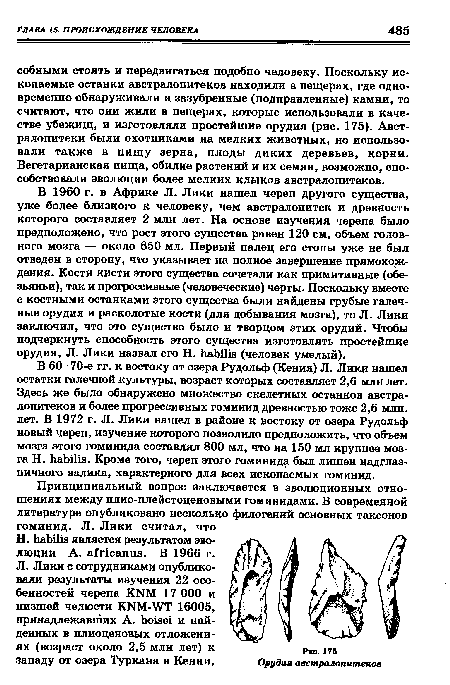 В 1960 г. в Африке JI. Лики нашел череп другого существа, уже более близкого к человеку, чем австралопитек и древность которого составляет 2 млн лет. На основе изучения черепа было предположено, что рост этого существа равен 120 см, объем головного мозга — около 650 мл. Первый палец его стопы уже не был отведен в сторону, что указывает на полное завершение прямохождения. Кости кисти этого существа сочетали как примитивные (обезьяньи), так и прогрессивные (человеческие) черты. Поскольку вместе с костными останками этого существа были найдены грубые галечные орудия и расколотые кости (для добывания мозга), то Л. Лики заключил, что это существо было и творцом этих орудий. Чтобы подчеркнуть способность этого существа изготовлять простейшие орудия, Л. Лики назвал его Н. habilis (человек умелый).