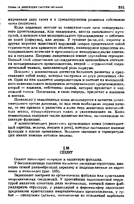 У беспозвоночных скелетом являются ригидные структуры, имеющие самый разнообразный характер и подразделяемые на эндоскелет и экзоскелет (рис. 185).