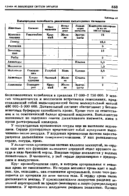 У ланцетника кровеносная система является замкнутой, но сердца еще нет; его функцию выполняет передний отдел крупного сосуда в виде брюшной аорты. Впервые сердце появляется у водных позвоночных. В частности, у рыб сердце двухкамерное с предсердием и желудочком.