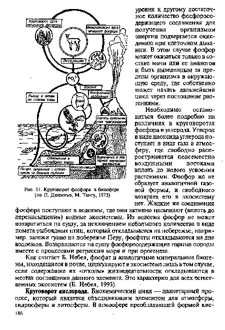 Круговорот фосфора в биосфере (по П. Дювиньо, М. Тангу, 1973)