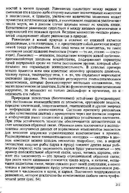 Природная экосистема (биогеоценоз) устойчиво функционирует при постоянном взаимодействии ее элементов, круговороте веществ, передаче химической, энергетической, генетической и другой энергии и информации по цепям-каналам. Согласно принципу равновесия любая естественная система с проходящим через нее потоком энергии и информации имеет тенденцию к развитию устойчивого состояния. При этом устойчивость экосистем обеспечивается автоматически за счет механизма обратной связи. Обратная связь заключается в использовании получаемых данных от управляемых компонентов экосистем для внесения корректив управляющими компонентами в процесс. Рассмотренные выше взаимоотношения «хищник» — «жертва» в данном контексте можно описать несколько подробнее; так, в водной экосистеме хищные рыбы (щука в пруду) поедают другие виды рыб-жертвы (карась); если численность карася будет увеличиваться —это пример положительной обратной связи; щука, питаясь карасем, снижает его численность—это пример отрицательной обратной связи; при росте числа хищников снижается число жертв, и хищник, испытывая недостаток пищи, также снижает рост своей популяции; в конце концов в рассматриваемом пруду устанавливается динамическое равновесие в численности и щуки, и карася. Постоянно поддерживается равновесие, которое исключало бы исчезновение любого звена трофической цепи (рис. 64).