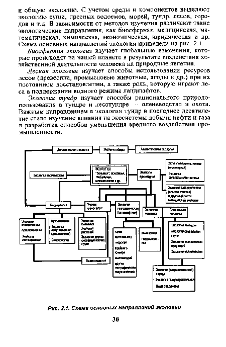 Схема основных направлений экологии 30