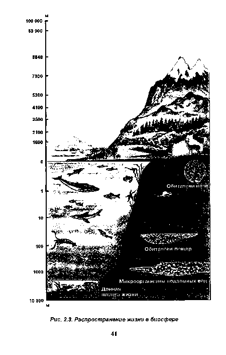 Распространение жизни в биосфере 41