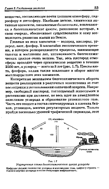 Упрощенная схема биогеохимического цикла углерода Цифрами указано количество углерода в миллиардах тонн, цифры у стрелок — годовой перенос углерода в соответствующих направлениях.