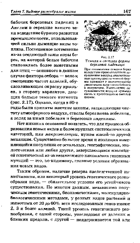 Темная и светлая формы березовой пяденицы