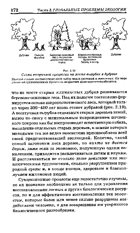 Схема вторичной сукцессии на месте вырубки в дубраве Каждой стадии соответствует свой набор видов растений и животных. По мере развития сукцессионных процессов возрастает доля видов-стенобионтов.