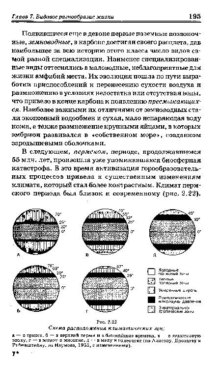 Появившиеся еще в девоне первые наземные позвоночные, земноводные, в карбоне достигли своего расцвета, дав наибольшее за всю историю этого класса число видов самой разной специализации. Наименее специализированные виды оттеснялись в маловодные, неблагоприятные для жизни амфибий места. Их эволюция пошла по пути выработки приспособлений к перенесению сухости воздуха и размножению в условиях недостатка или отсутствия воды, что привело в конце карбона к появлению пресмыкающихся. Наиболее важными их отличиями от земноводных стали экономный водообмен и сухая, мало испаряющая воду кожа, а также размножение крупными яйцами, в которых эмбрион развивался в «собственном море», созданном зародышевыми оболочками.