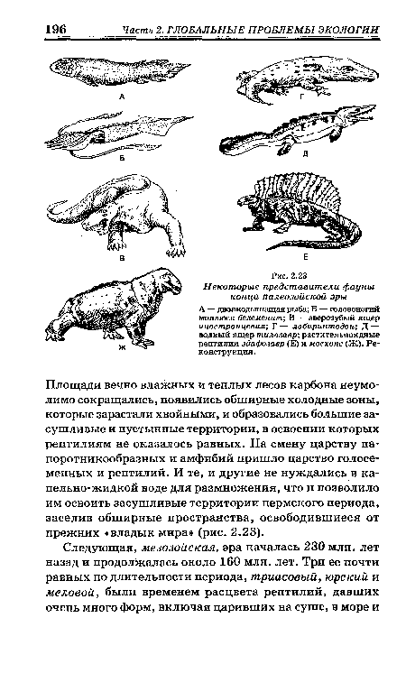 Площади вечно влажных и теплых лесов карбона неумолимо сокращались, появились обширные холодные зоны, которые зарастали хвойными, и образовались большие засушливые и пустынные территории, в освоении которых рептилиям не оказалось равных. На смену царству папоротникообразных и амфибий пришло царство голосеменных и рептилий. И те, и другие не нуждались в ка-пельно-жидкой воде для размножения, что и позволило им освоить засушливые территории пермского периода, заселив обширные пространства, освободившиеся от прежних «владык мира» (рис. 2.23).