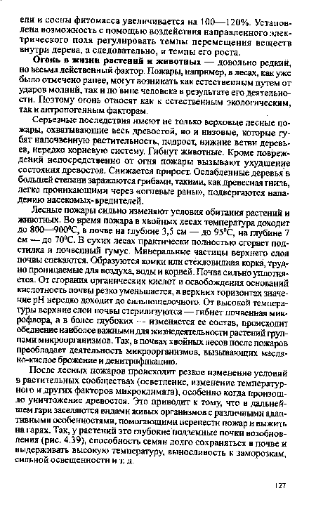 После лесных пожаров происходит резкое изменение условий в растительных сообществах (осветление, изменение температурного и других факторов микроклимата), особенно когда произошло уничтожение древостоя. Это приводит к тому, что в дальнейшем гари заселяются видами живых организмов с различными адаптивными особенностями, помогающими перенести пожар и выжить на гарях. Так, у растений это глубокие подземные почки возобновления (рис. 4.39), способность семян долго сохраняться в почве и выдерживать высокую температуру, выносливость к заморозкам, сильной освещенности и т. д.