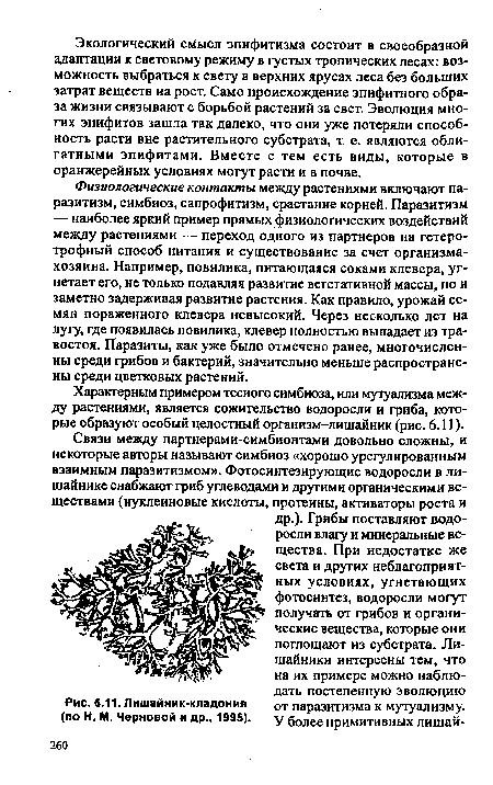 Характерным примером тесного симбиоза, или мутуализма между растениями, является сожительство водоросли и гриба, которые образуют особый целостный организм-лишайник (рис. 6.11).