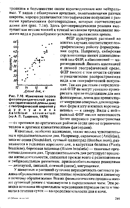 У животных и растений суточная периодичность светового режима обуславливает многочисленные приспособления к дневному и ночному образам жизни. Все их физиологические процессы имеют суточный режим с максимумом в определенные часы. Эти реакции основаны на правильном чередовании периодов света и темноты в течение суток — на продолжительности дня и ночи.