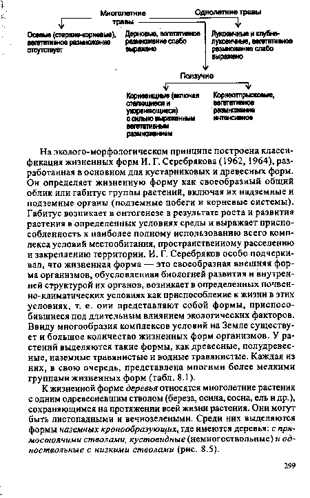 На эколого-морфологическом принципе построена классификация жизненных форм И. Г. Серебрякова (1962, 1964), разработанная в основном для кустарниковых и древесных форм. Он определяет жизненную форму как своеобразный общий облик или габитус группы растений, включая их надземные и подземные органы (подземные побеги и корневые системы). Габитус возникает в онтогенезе в результате роста и развития растения в определенных условиях среды и выражает приспособленность к наиболее полному использованию всего комплекса условий местообитания, пространственному расселению и закреплению территории. И. Г. Серебряков особо подчеркивал, что жизненная форма — это своеобразная внешняя форма организмов, обусловленная биологией развития и внутренней структурой их органов, возникает в определенных почвенно-климатических условиях как приспособление к жизни в этих условиях, т. е. они представляют собой формы, приспособившиеся под длительным влиянием экологических факторов. Ввиду многообразия комплексов условий на Земле существует и большое количество жизненных форм организмов. У растений выделяются такие формы, как древесные, полудревес-ные, наземные травянистые и водные травянистые. Каждая из них, в свою очередь, представлена многими более мелкими группами жизненных форм (табл. 8.1).