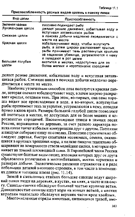 Наиболее утонченным способом лова пользуется красная цапля, которая сначала взбаламучивает воду, а затем широко раскрывает крылья, создавая тень. При этом, во-первых, она сама хорошо видит все происходящее в воде, а во-вторых, вспугнутые рыбы принимают тень за укрытие, устремляются к нему, попадая прямо в клюв врага. Размеры большой голубой цапли позволяют ей охотиться в местах, не доступных для ее более мелких и коротконогих сородичей, Насекомоядные птицы в зимних лесах России, кормящиеся на деревьях, за счет разного характера поиска пищи также избегают конкуренции друг с другом. Поползни и пищухи собирают пищу на стволах. Поползни стремительно обследуют деревья, быстро схватывая насекомых, семена, оказавшиеся в крупных трещинах коры, а мелкие пищухи тщательно обшаривают на поверхности ствола малейшие щелки, в которые проникает их тонкий шиловидный клюв. В Европейской части России существуют близкие виды синиц, изоляция которых друг от друга обусловлена различиями в местообитаниях, местах кормежки и размерах добычи. Экологические различия отражаются и в ряде небольших деталей внешнего строения, в том числе в изменениях длины и толщины клюва (рис. 11.14).